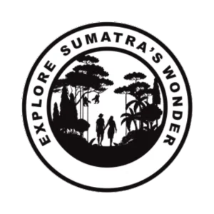 Bukit Lawang, Jungle & Sumatra Orangutan Tours and Trekking